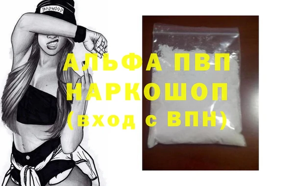 гашик Пестово