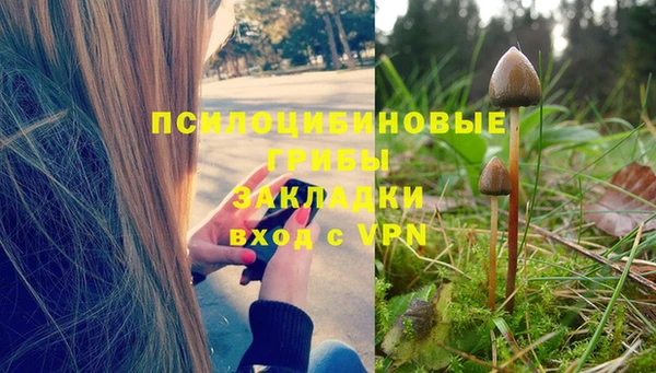 винт Володарск