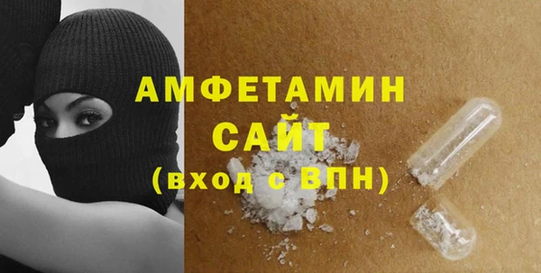 гашик Пестово