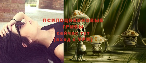 гашик Волоколамск